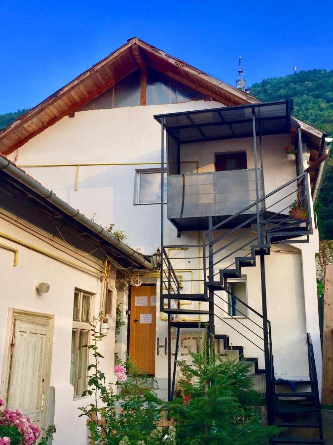 Downtown Hostel Brasov